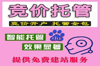 行业佼佼者：百度推广代理商的典范案例剖析
